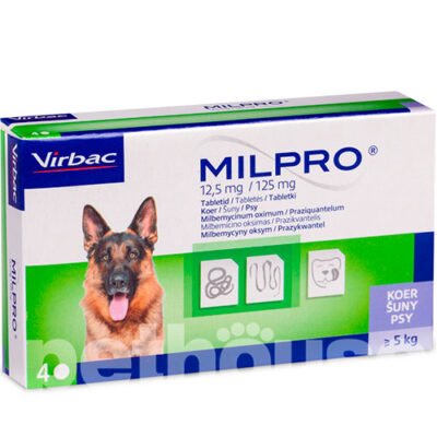 Ефективні таблетки для захисту собак від глистів: повний огляд засобів