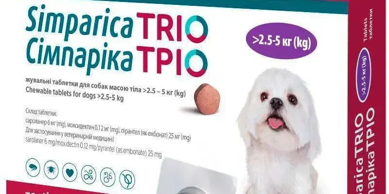 Ефективні таблетки від бліх для вашого улюбленця: що обрати?