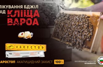 Ефективні таблетки від кліща для бджіл: захистіть свої вулики зараз!