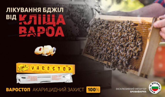 Ефективні таблетки від кліща для бджіл: захистіть свої вулики зараз!