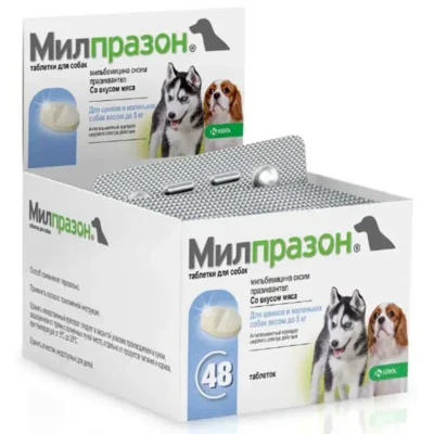 Ефективні таблетки від сказу для собак: найкращі засоби та поради