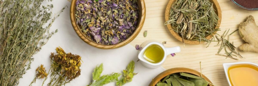 Ефективні трави для лікування проносу: натуральні засоби та поради