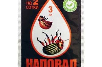 Ефективні яди для боротьби з колорадськими жуками: поради та засоби
