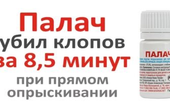Ефективні засоби боротьби з клопами: обираємо найкращий варіант