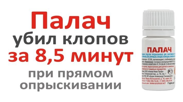 Ефективні засоби боротьби з клопами: обираємо найкращий варіант