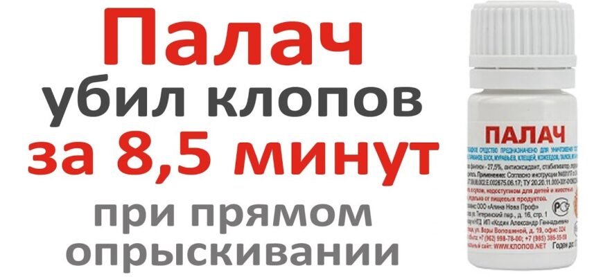 Ефективні засоби боротьби з клопами: обираємо найкращий варіант