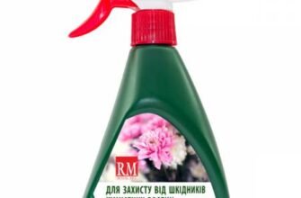 Ефективні засоби для обробки кімнатних рослин від шкідників