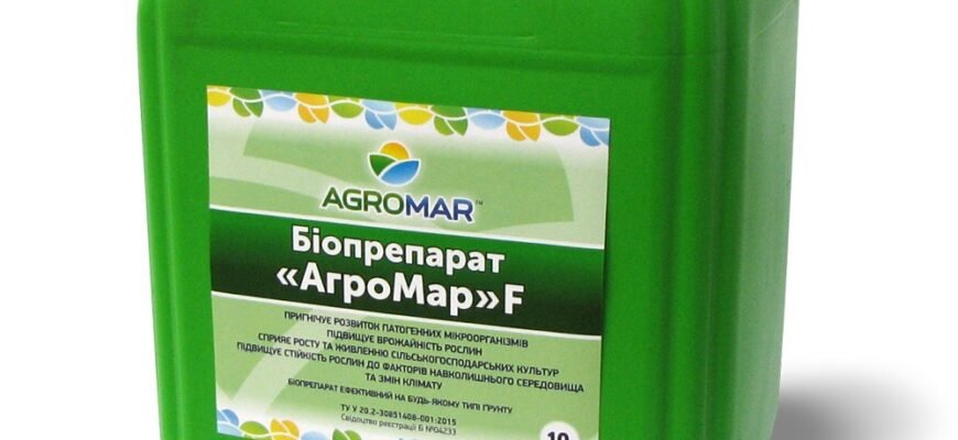 Ефективні засоби для обробки квасолі від поширених хвороб