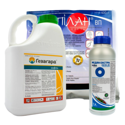 Ефективні засоби для обробки квасолі від шкідників: практичні поради