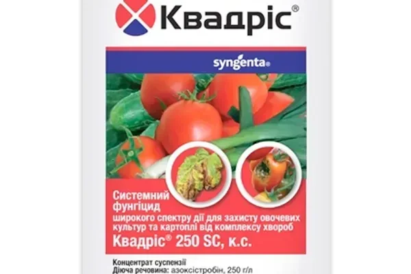 Ефективні засоби для обробки огірків від пероноспорозу: поради і методи