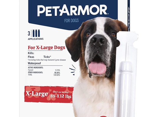 Ефективні засоби для обробки собаки від кліщів: огляд і рекомендації