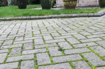Ефективні засоби для усунення моху з бруківки: практичні поради