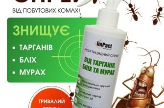 Ефективні засоби проти бліх: як захистити свій дім від паразитів