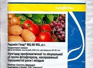 Ефективні засоби проти фітофтори для помідорів: захисти свій урожай!