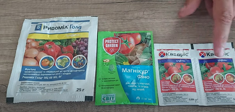 Фітофтора на помідорах - як врятувати рослини і які препарати ...