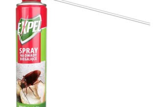Ефективні засоби проти мурах: як обрати найкращий яд для боротьби