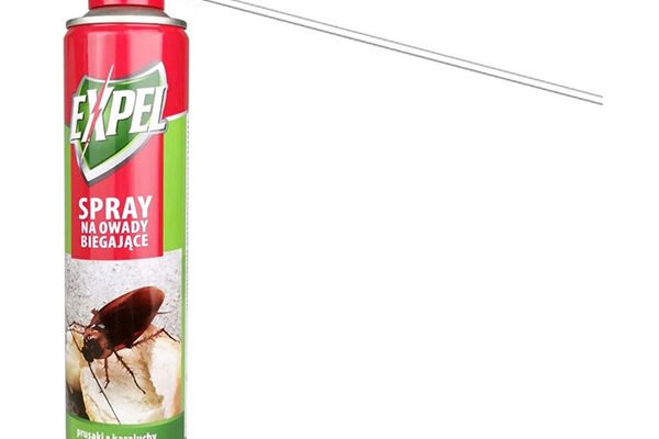 Ефективні засоби проти мурах: як обрати найкращий яд для боротьби