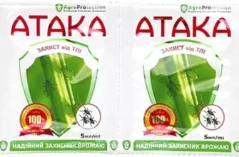 Ефективні засоби проти тлі: оберіть найкращий захист для рослин