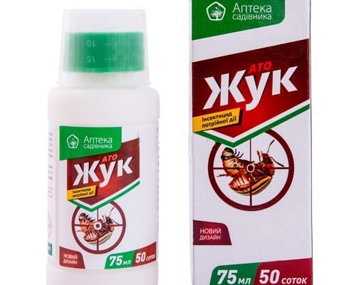 Ефективні засоби проти жуків: огляд найкращих рішень для захисту