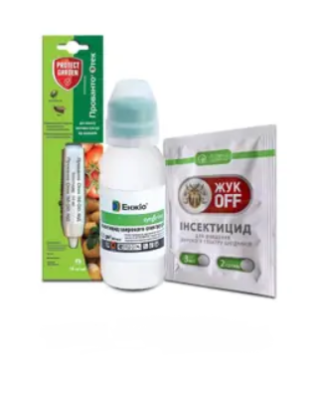 Ефективні засоби від білокрилки на капусті: захист і профілактика