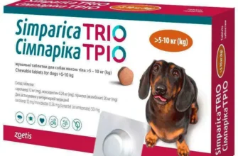 Ефективні засоби від бліх для собак: огляд та рекомендації ветеринарів