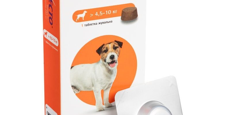 Ефективні засоби від бліх для собак: захист та профілактика паразитів