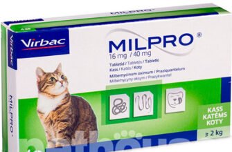 Ефективні засоби від глистів для котів: вибір та застосування