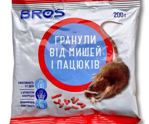 Ефективні засоби від мишей: як позбутися гризунів у вашому домі