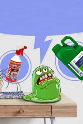 Ефективні засоби від цвілі: як обрати найкращий варіант для дому