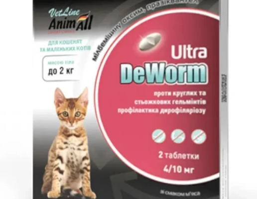 Ефективні засоби захисту для котів від глистів: що обрати?