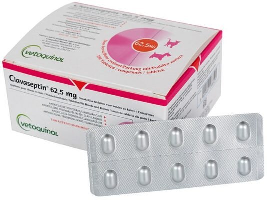 Ефективність Клавасептіну: від яких захворювань препарат допомагає? Ефективність Клавасептіну: від яких захворювань препарат допомагає?