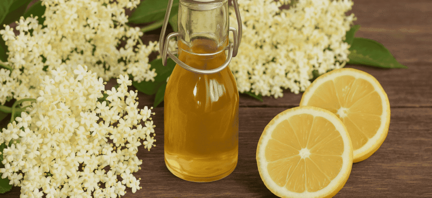 Ефективність квітів бузини: натуральний засіб проти кашлю та застуди