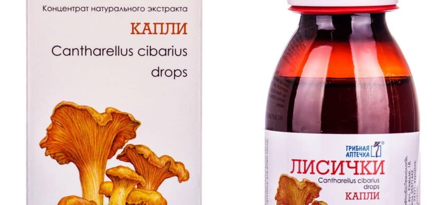 Ефективність лисичок у боротьбі з глистами: секрети народної медицини