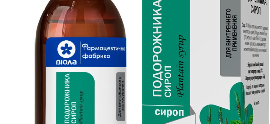 Ефективність подорожника у боротьбі з кашлем: природний засіб для здоров’я