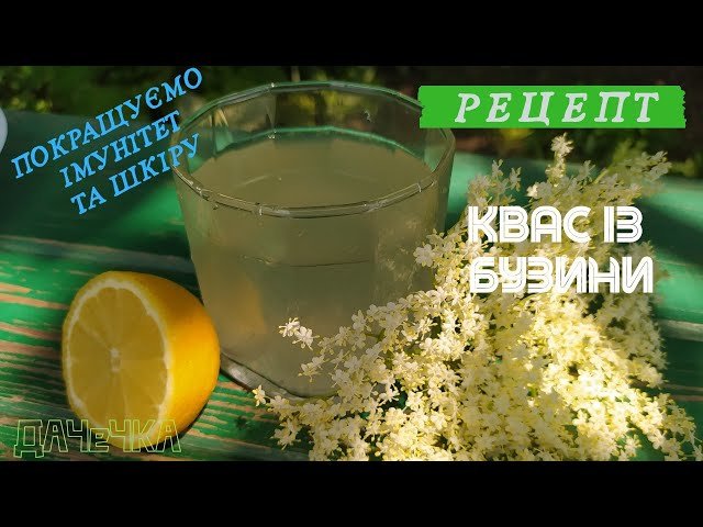 Як застосовувати чай з квітів бузини при застуді?