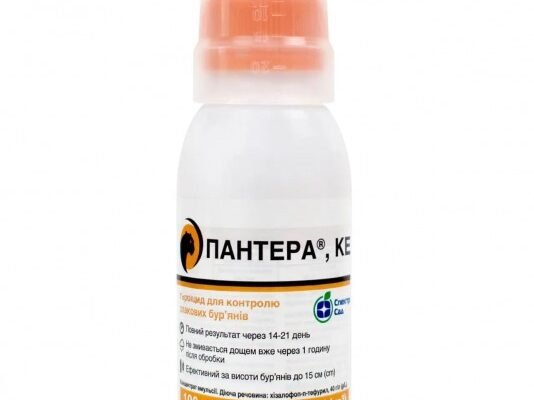 Ефективний гербіцид для боротьби з хвощем: огляд та рекомендації