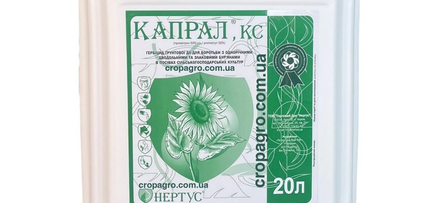 Ефективний гербіцид для боротьби з портулаком: огляд та поради