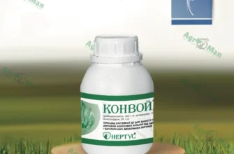 Ефективний гербіцид для пшениці: захист від бур’янів та покращення врожаю