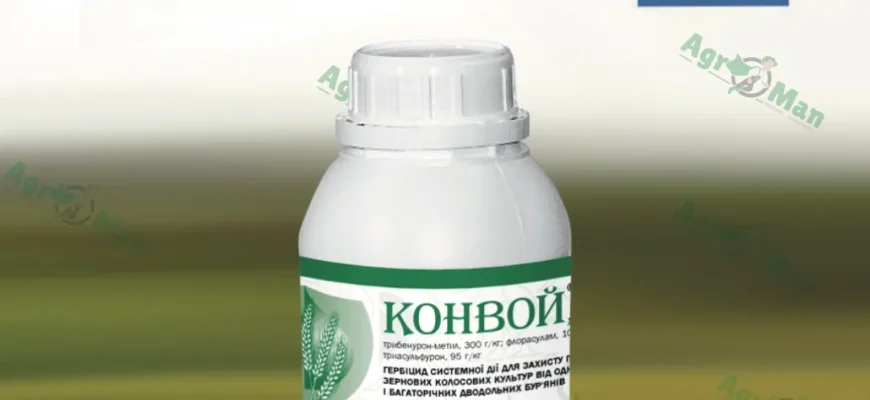 Ефективний гербіцид для пшениці: захист від бур’янів та покращення врожаю