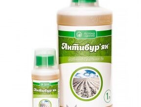 Ефективний гербіцид проти пирію у картоплі: вибір та застосування