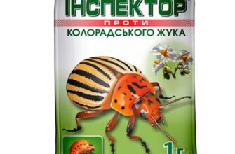 Ефективний інсектицид для боротьби з колорадським жуком: огляд засобів