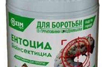 Ефективний порошок від дротяника: Засіб для захисту вашого врожаю