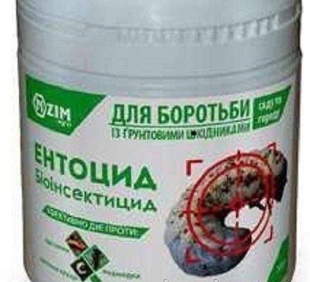 Ефективний порошок від дротяника: Засіб для захисту вашого врожаю