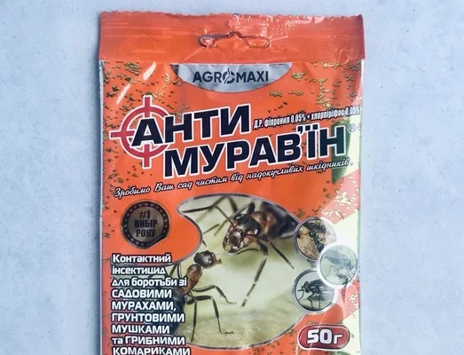 Ефективний порошок від мурах: як вибрати найкращий засіб для боротьби