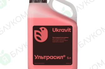 Ефективний препарат для захисту пшениці від сажкових хвороб