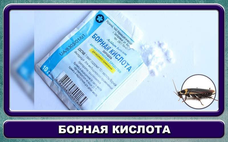 Борна кислота від тарганів - DEZtactic