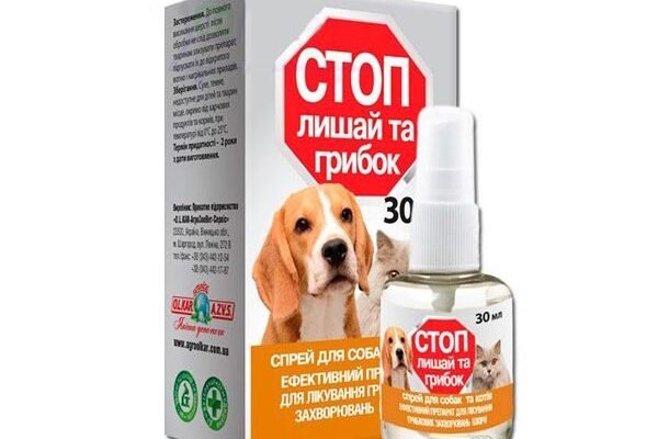 Ефективний спрей від лишаю для котів: як вибрати найкращий засіб