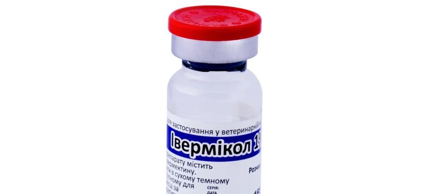 Ефективний укол від кліща для собак: захист і профілактика здоров’я