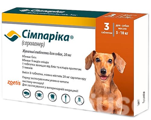 Ефективний захист для вашого собаки: Сімпаріка проти кліщів