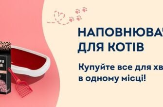 Ефективний захист: обираємо найкращий засіб від кліщів для котів